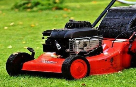 Horticultural Tools and Equipment - Level 4