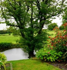 Establishing Trees and Shrubs - Level 4 training course