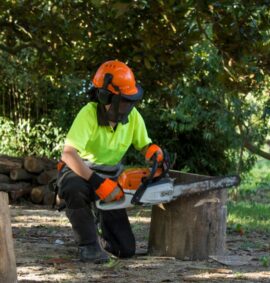 Sean Burke Horticulture Training Courses - QQI qualified Trainer