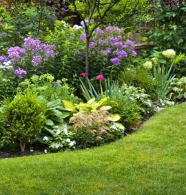 Plant Identification Care and Maintenance – Level 4 – 4N1186 – QQI Course training course