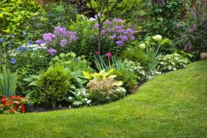 Plant Identification Care and Maintenance - Level 4 - 4N1186 - QQI Course