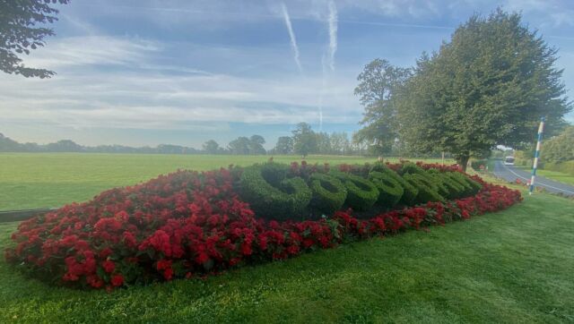Plant ID Care & Maintenance. Curb appeal and attention to detail. Kildangan Stud Co Kildare.
