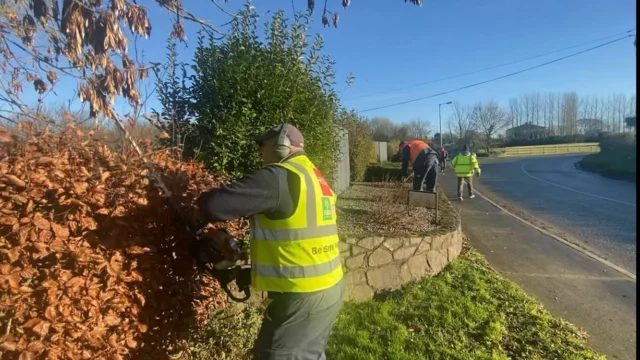 Year end clean up and trimming now with good weather conditions available. Hedging will retain its shape well into the spring.