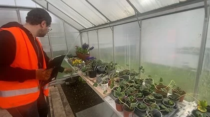 Spring time plant inspection. Now is the time to prepare and get ahead on the seasons growth. Tools & Equipment sharpen, repair and maintain always.