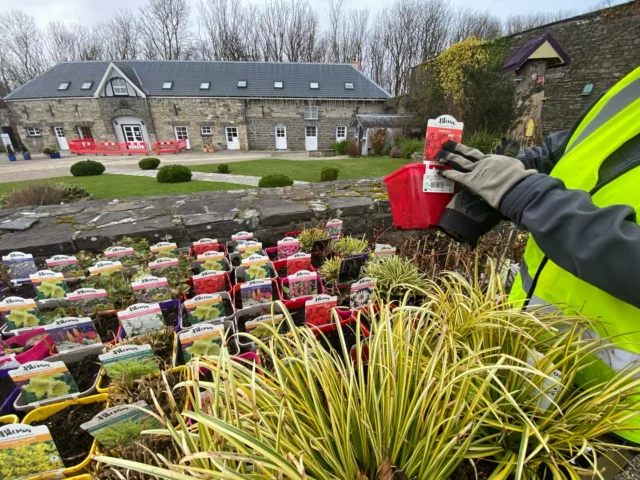 February - Time to turn over the soil, gather up remaining debris and get new perennials into your garden. Sign up for new group training - Spring Gardens.